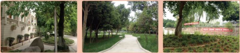 20200426171625658072.png 圖片2.png