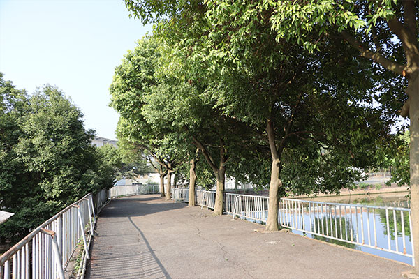 四川蜀都衛(wèi)生學(xué)校校園環(huán)境